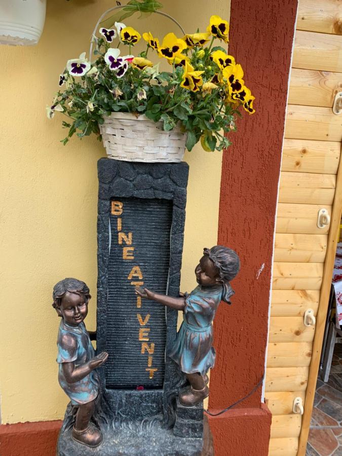 Willa Casa Nita Corbu  Zewnętrze zdjęcie